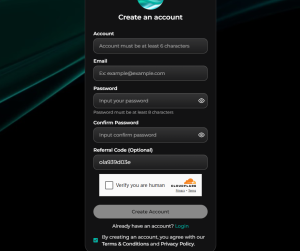 OpenLoop赚币Depin挂机教程-勇爱设计Netwrok