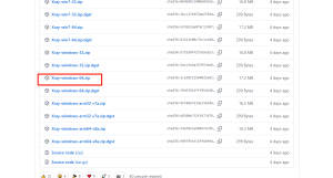windows server服务器搭建节点+reality教程-勇爱设计Netwrok