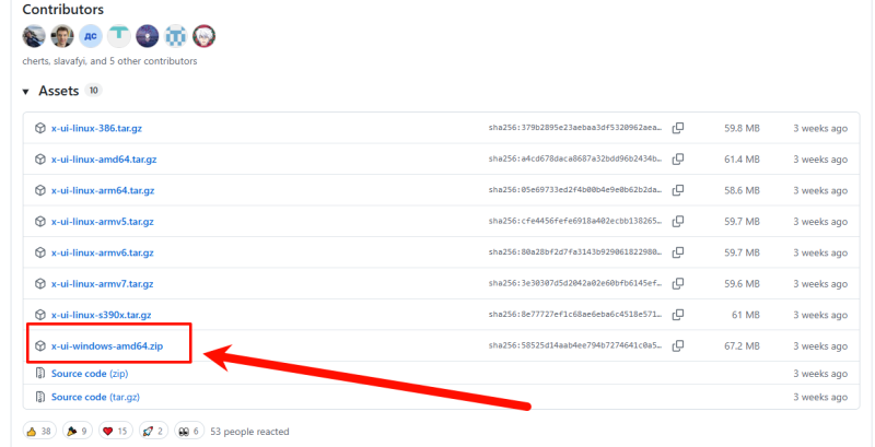 windows服务器server的3xui安装教程以及SSL证书配置教程-勇爱设计Netwrok